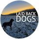 Laid back dogs logo