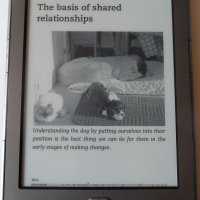 "Understanding the silent communication of dogs" book by Rosie Lowry -- inside Kindle Edition