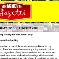 Rosie Lowry's Spaghetti Gazetti article