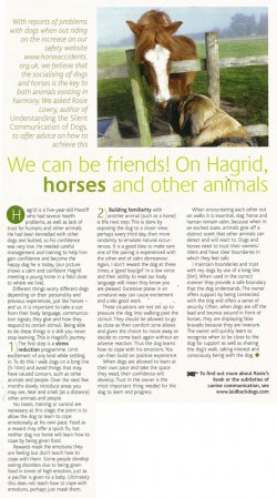Rosie Lowry offers tips for dogs and horses to co-exist. Published in British Horse magazine, May 2012